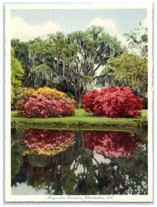 Magnolia Gardens Charleston SC, River View Mirror Lake Vintage Postcard