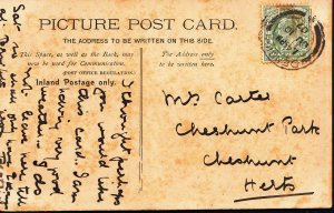 Genealogy Postcard - Family History - Carter - Cheshunt - Hertfordshire  A9221