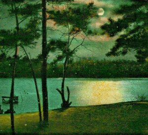 Moonlight View Greetings From Loch Sheldrake New York NY 1919 Vtg Postcard
