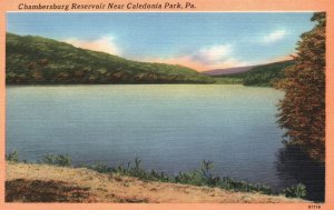 Vintage Postcard Chambersburg Reservoir Water Near Caledonia Park Pennsylvania