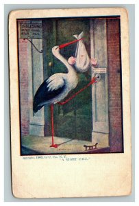 Vintage 1905 Comic Postcard Stork Rings the Doorbell Delivering a Baby