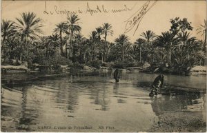 CPA AK TUNISIE GABES - L'Oasis de Teboulbou (134616)