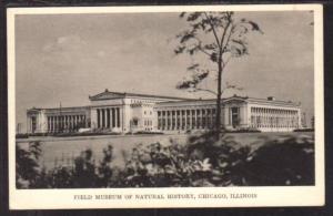 Field Museum Natural History Chicago IL Postcard 5958