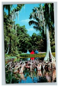 Vintage 1958 Postcard Trees & Women Dressed Cypress Gardens Winter Haven Florida