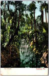 1911 The Brook Daytona Florida FL Palms Shallow Waters Posted Postcard