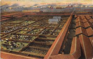 Chicago Illinois~Chicago Stock Yards Bird's Eye View~Cattle Pens~c1910 Postcard