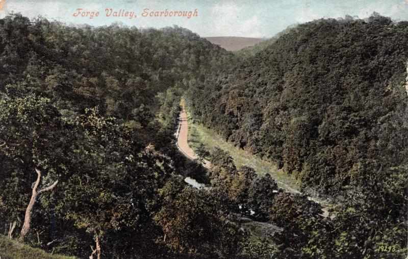 SCARBOROUGH YORKSHIRE UK~FORGE VALLEY POSTCARD