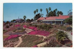 Postcard Heisler Park Laguna Beach California Standard View Card Flowers 