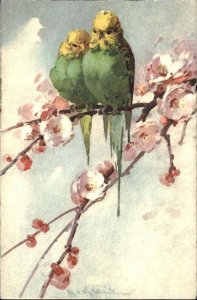 C Klein Parrakeet Tropical Birds c1910 Vintage Postcard