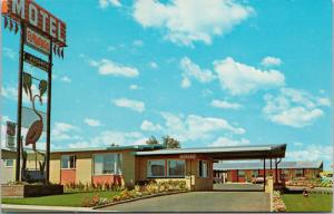 Flamingo Motel Medicine Hat Alberta AB Alta Unused Vintage Postcard D71