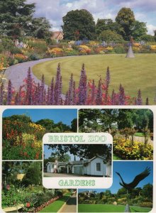 Bristol Zoo Gardens 2x Postcard s