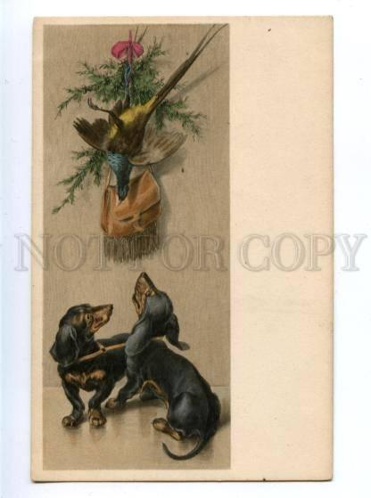 156457 After HUNT Dogs DACHSHUND Vintage M.M. VIENNE PC