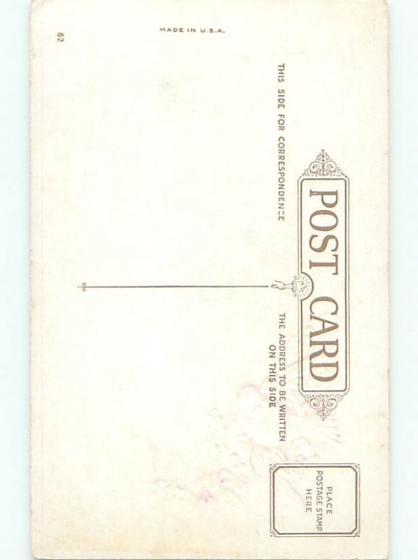 Divided-Back CHRISTMAS BIRDS SCENE Pretty Postcard W8520