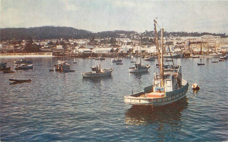 Fishing Fleet at Anchor Picturesque 1940s Postcard Wesco 8876