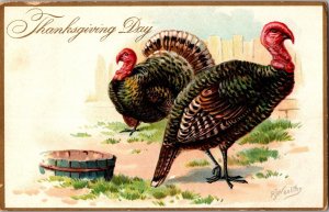 Tucks 123 Thanksgiving Pair of Turkeys c1908 Vintage Postcard N64