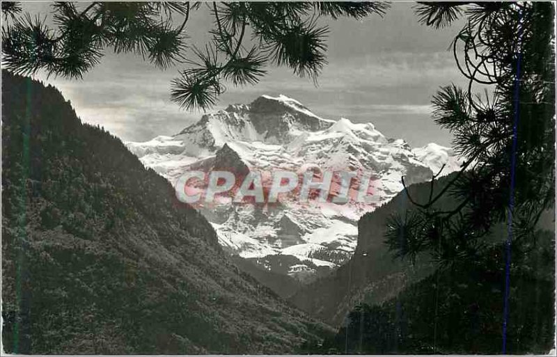 Modern Postcard Interlaken Jungfrau