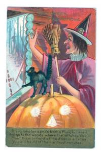 Halloween Holiday Postcard  witch & black cat