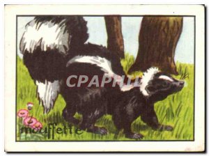 Image Skunk