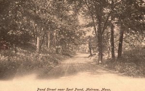 Vintage Postcard 1911 Pond Street Near Spot Pond Melrose Massachusetts Mass.