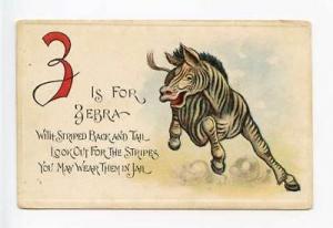 Z Zebra Alphabet Animal Series Postcard