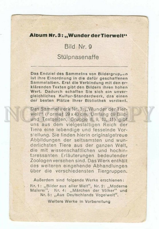 145398 PHUNT Proboscis Monkey Vintage Animal Card #9