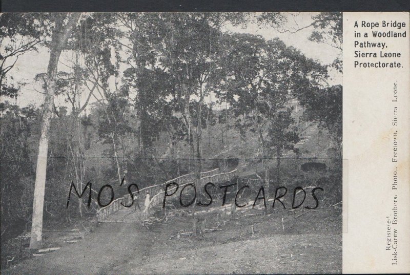 Sierra Leone Postcard - A Rope Bridge In a Woodland Pathway  MB1103 