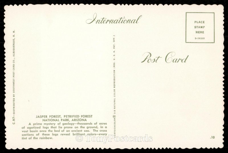 Petrified Forest National Park - Jasper Forest