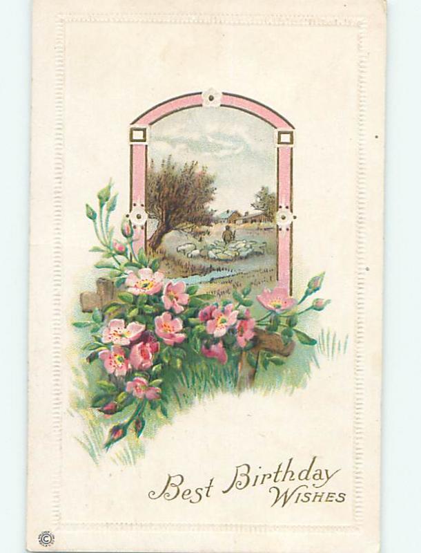 Divided-Back birthday BEAUTIFUL PINK FLOWERS & SHEPHERD WITH SHEEP o8902