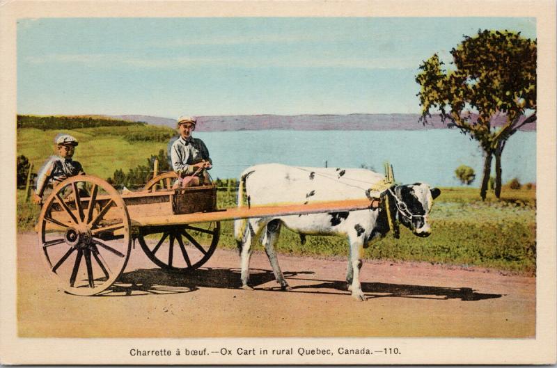 Charrette a boeuf Ox Cart Rural Quebec QC Que HV Henderson Unused Postcard D71