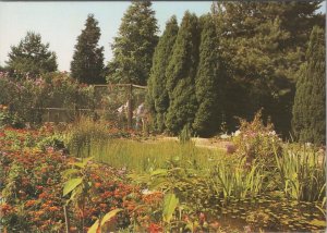 Surrey Postcard - Gardens, Birdworld, Holt Pound, Nr Farnham RR18039