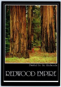 Postcard - Redwood Empire, Dwarfed by the Redwoods - California