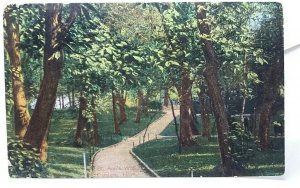 St Anns Well Gardens Hove Sussex Vintage Postcard 1913