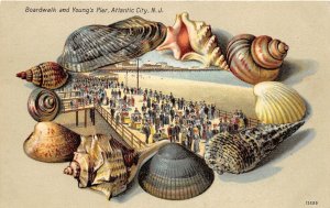 H64/ Atlantic City New Jersey Postcard c1910 Shell Border Boardwalk Young's