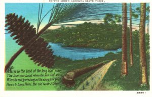 Vintage Postcard Long Leaf Pine Summer Land North Carolina State Toast N. C.
