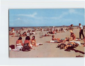 Postcard People Beach Scenery