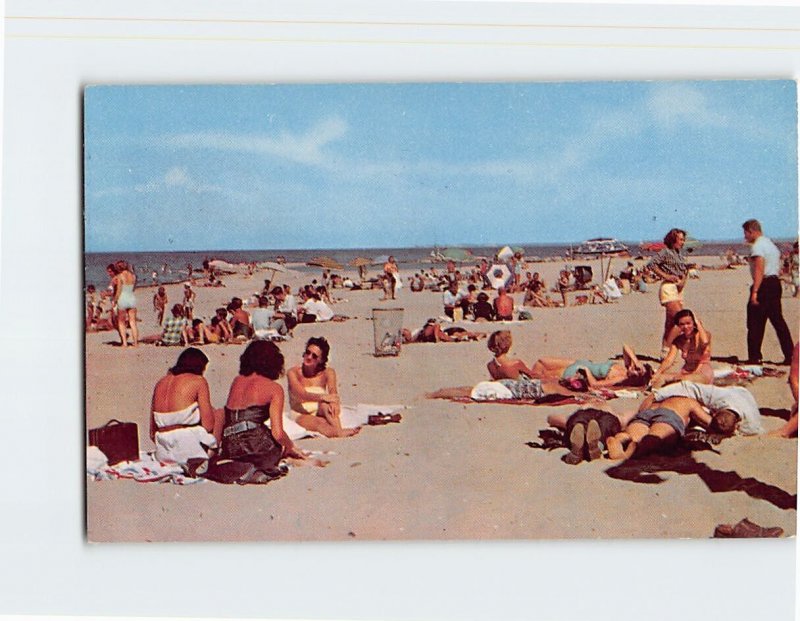 Postcard People Beach Scenery