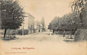 LIDKOPING SWEDEN~MELLBYGATAN~1900s ALBIN ANDERSSON PHOTO POSTCARD