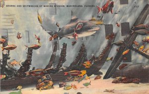 Sharks and Shipwrecks Marine Studios Marineland FL 