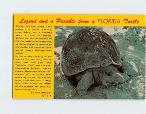 Postcard Legend and a Parable from a Florida Turtle, Florida