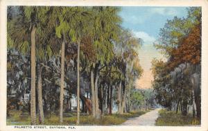 Daytona Florida~Palmetto Stret~Tall Palm Trees Line Road~1920s Postcard