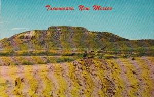 New Mexico Tucumcari Mountain