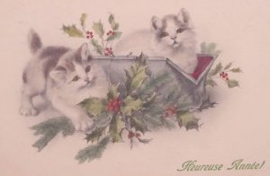 c1910 Adorable Cats Kitties Christmas New Year M Munk Vienne Vintage Postcard