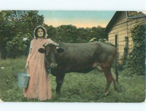 Divided-Back ANIMAL SCENE Great Postcard AA9500