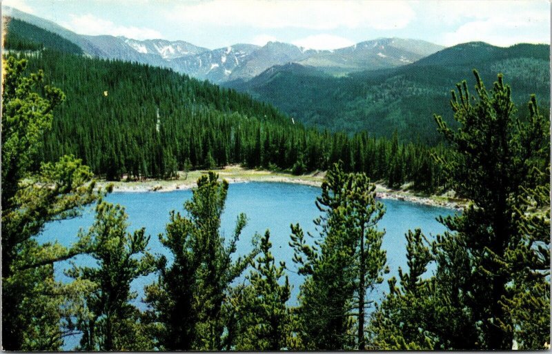 Mt Evans Echo Lake Denver Mt Parks Colorado CO Postcard PM Clean VTG Vintage 