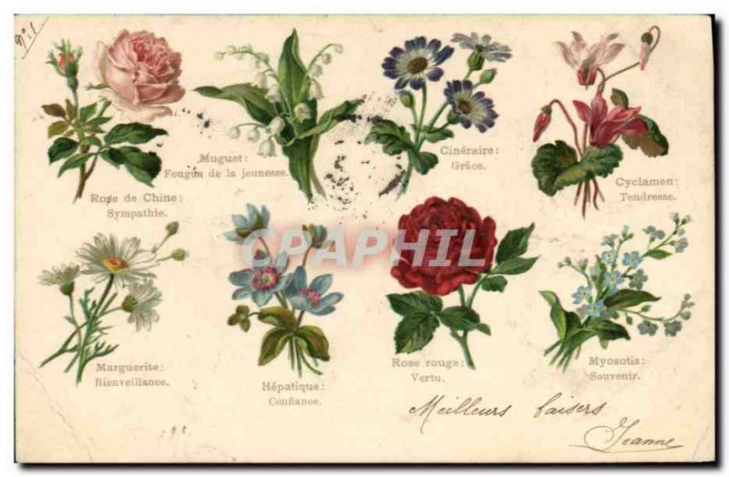 Old Postcard Fantasy Flowers language