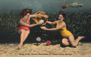 Vintage Postcard Underwater Camera Possibilities Diving Silver Springs Florida