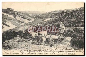 Postcard Old St Leonard Timber Butte Narbonne Shepherd Sheep