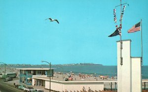 Vintage Postcard Lone Sea Gull Colorful Scene Hampton Beach New Hampshire NH