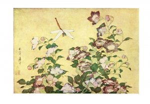 Japanese Dragonfly & Kikyo Flowers Hokusai Painting Postcard