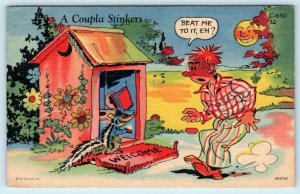 RAY WALTERS Comic A Coupla Stinkers  Outhouse, Skunk c1940s PM 1957 Postcard